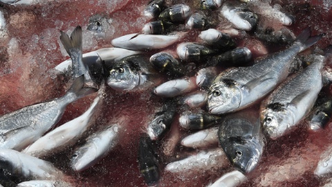 Foto Arquivo/Aspress