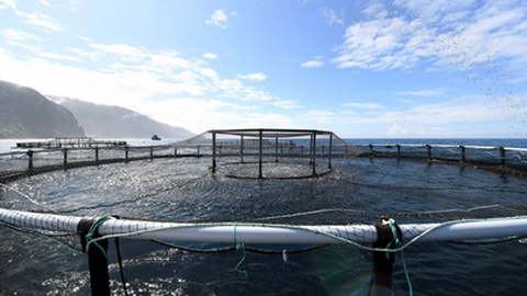 Foto ilustrativa/Arquivo/Aspress