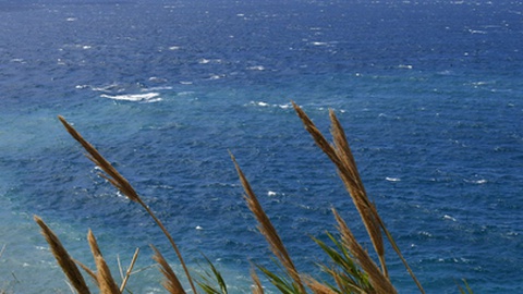 Foto Arquivo/Aspress