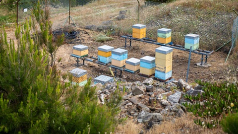 None
