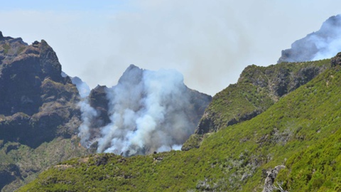 Evolução do fogo ontem a meio da tarde.&nbsp; &nbsp;Foto Helder Santos/Aspress