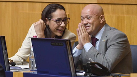 Magna Costa não acompanhou o sentido de voto da bancada parlamentar do Chega (abstenção) e votou contra.