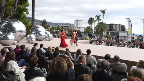 ‘Madeira Flower Collection’ 2024&nbsp;