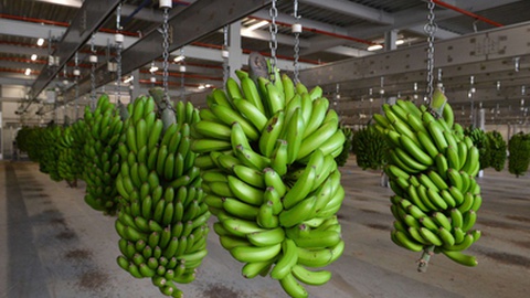 Foto Arquivo/Helder Santos/Aspress