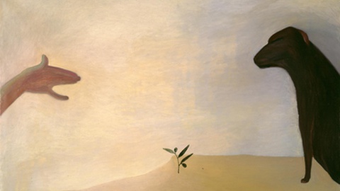 'Por que razão se toma por um barco' de Ana JOTTA&nbsp;