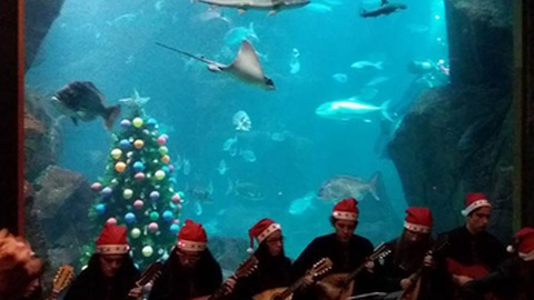 Antes da pandemia, era comum a participação da população neste iniciativa. Foto DR/Arquivo