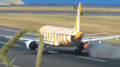 Imagem Madeira Aviation Spotting