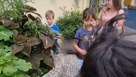 Fotos DR/Printscreen