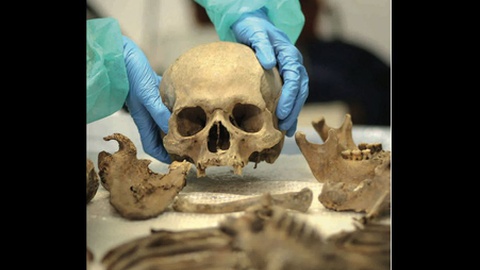 Foto DR/Associação Portuguesa de Ciências Forenses