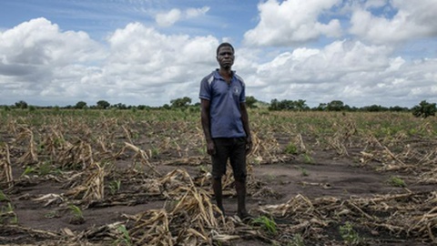 Fotos DR/ONU Moçambique
