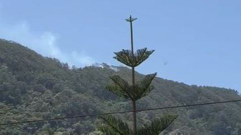 Foto&nbsp;Adriana Viveiros