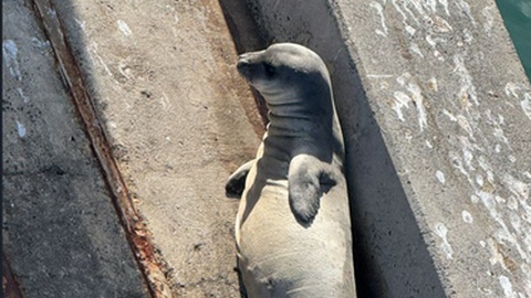 Foto&nbsp;António Pedro Freitas Photography