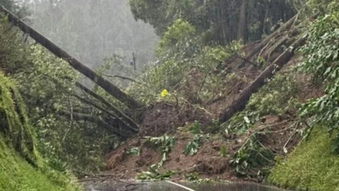 Foto Açoriano Oriental/DR
