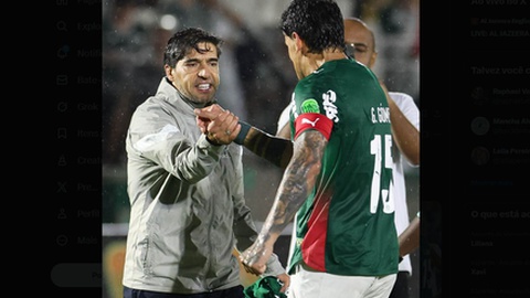 Fotos DR/SE Palmeiras/X