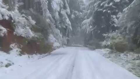 Vídeo de&nbsp;Edie Jampas