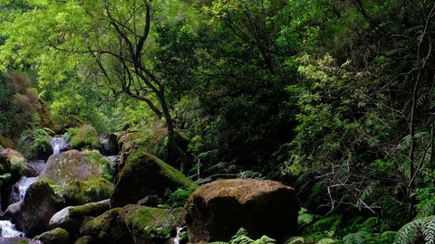 Imagem parcial do cartaz da mostra.