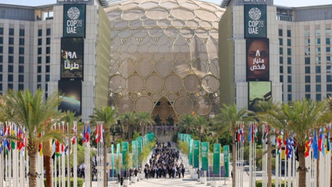 A COP28, que acontece no Dubai, bate um novo recorde com 80.000 participantes inscritos.&nbsp;