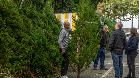 Foto&nbsp;EDUARDO COSTA/LUSA