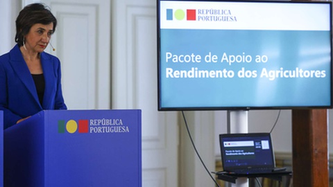 A ministra da Agricultura, Maria do Céu Antunes.