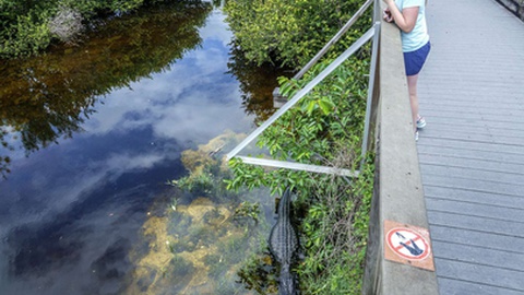 Foto&nbsp;EPA / CRISTOBAL HERRERA-ULASHKEVICH