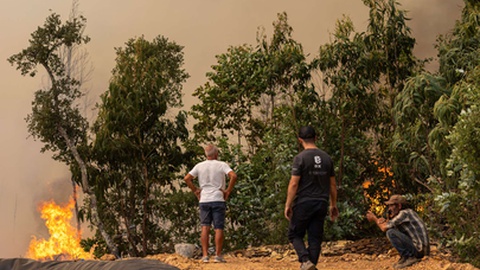 Foto&nbsp;DIOGO BAPTISTA/LUSA