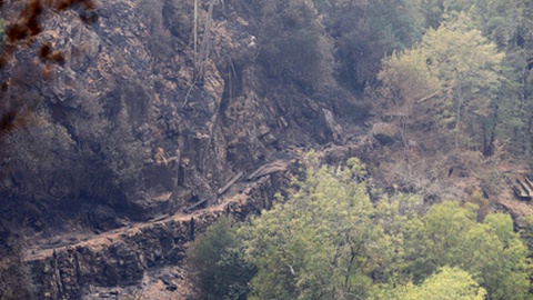 Os Passadiços do Paiva, na freguesia de Espiunca, destruídos pelo incêndio que lavra desde segunda-feira, em Arouca.