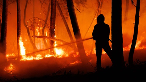 Foto&nbsp;PEDRO SARMENTO COSTA/LUSA