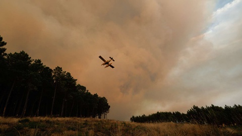 Foto&nbsp; PEDRO SARMENTO COSTA/LUSA