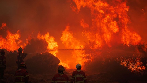 Fotografia captada em&nbsp;perto da Aldeia de Galegos da Serra no concelho de Vila Real, no dia 5 de Agosto.