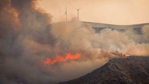 Foto&nbsp;PEDRO SARMENTO COSTA/LUSA