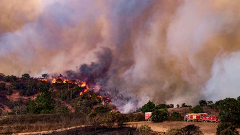 Foto&nbsp;LUÍS BRANCA/LUSA
