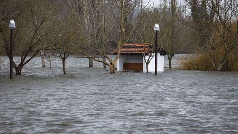 Em causa estão os estragos causados pelo rebentamento de um dos diques do rio Mondego.&nbsp;