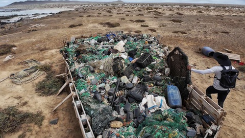 Foto&nbsp;LUÍS FONSECA/Lusa