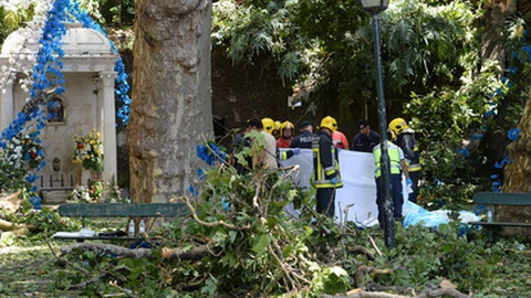 Foto Rui Silva/Aspress