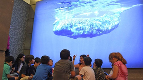 Foto Arquivo/Aspress