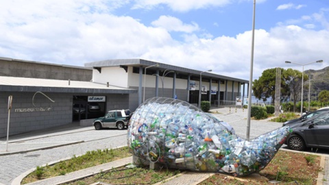 Acção de limpeza promovida pelo Museu da Baleia decorrerá nas praias da Ribeira do Natal e do Caniçal.