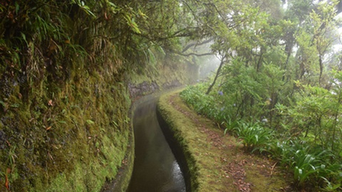 O percurso pedestre classificado do Caminho do Pináculo e Folhadal desenvolve-se, em parte, ao longo da Levada do Norte, entre a Encumeada e a estrada das Ginjas.&nbsp;