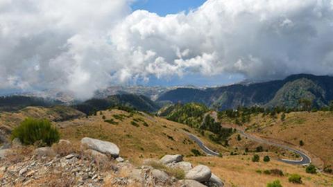A estrada florestal que liga o Pico do Areeiro à Eira do Serrado percorre a cabeceira das serras de São Roque e Santo António. Foto DR