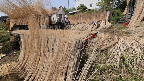 Foto DR/Clube de Ecologia Barbusano