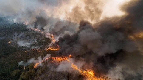 Foto DR/Carlos Almeida/Comunidade Cultura e Arte