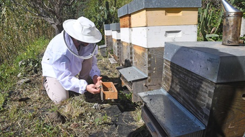 Foto Hélder Santos/ASPRESS