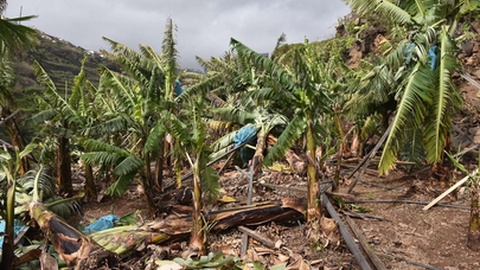 Foto Arquivo/Aspress