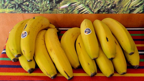 Foto Arquivo/Helder Santos/Aspress