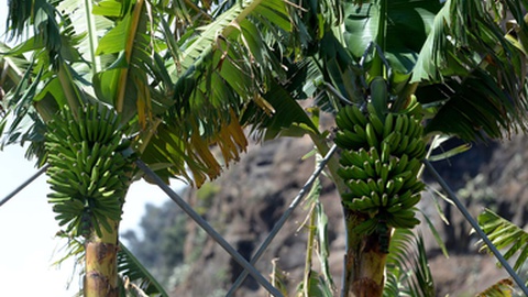 Foto Arquivo/Aspress