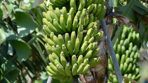 Foto Arquivo/Aspress