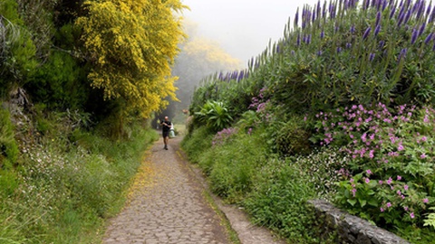 Foto Arquivo/Aspress