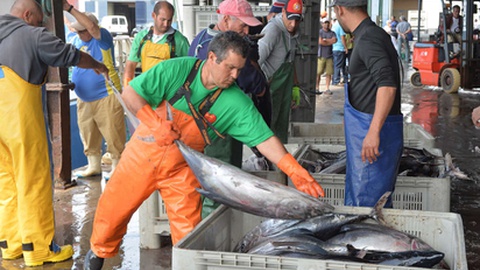 Líder parlamentar do Chega/Madeira apontou, ontem, a existência de pesca ilegal na Reserva Natural das Ilhas Selvagens e pediu mais fiscalização.&nbsp;