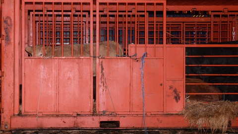 Foto Helder Santos/Aspress