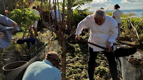 Foto grupo Savoy Signature