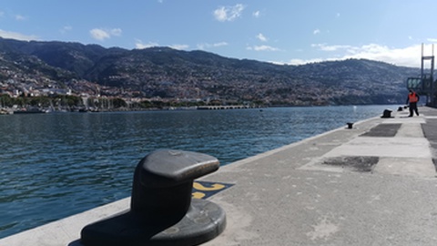 Desde Dezembro que o Porto do Funchal não recebe qualquer navio de cruzeiro.